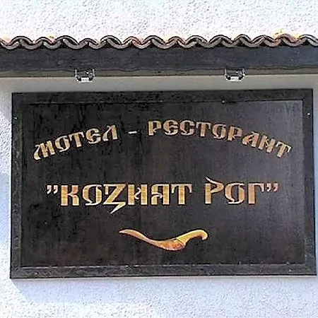 Motel Koziyat Rog 3*