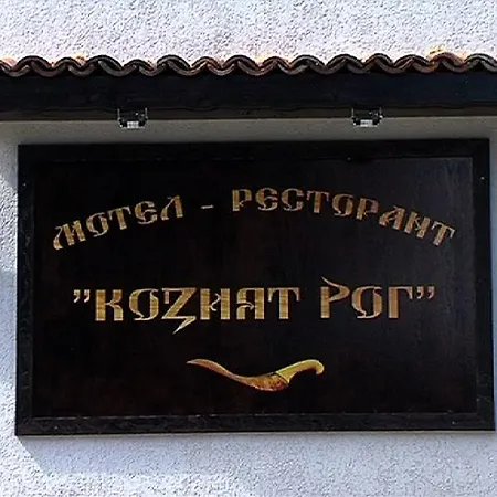 Koziyat Rog Motel 3*