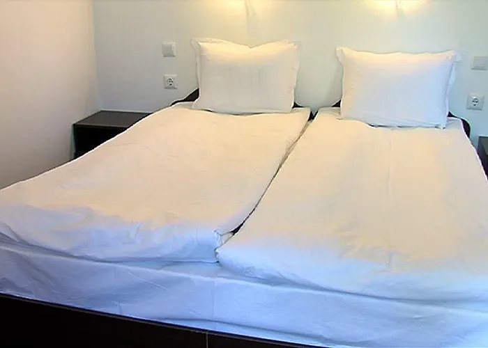 Motel Koziyat Rog 3*