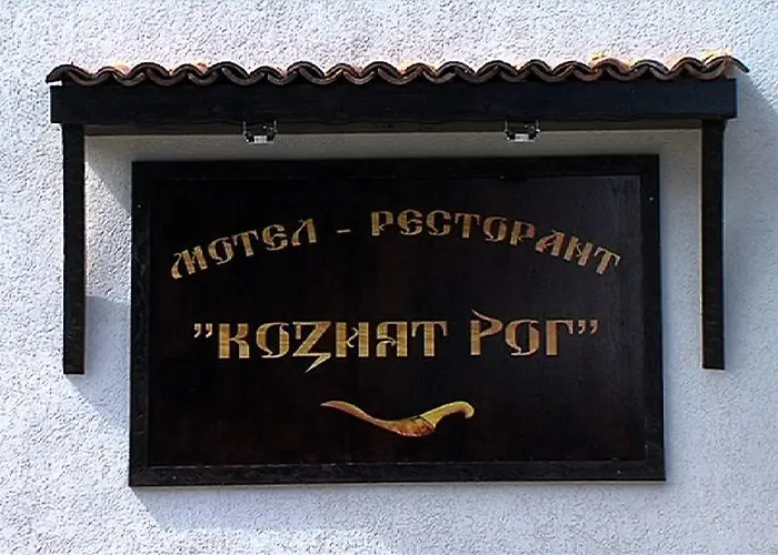 Koziyat Rog Motel 3*